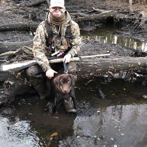 Meet your Posher, Walker